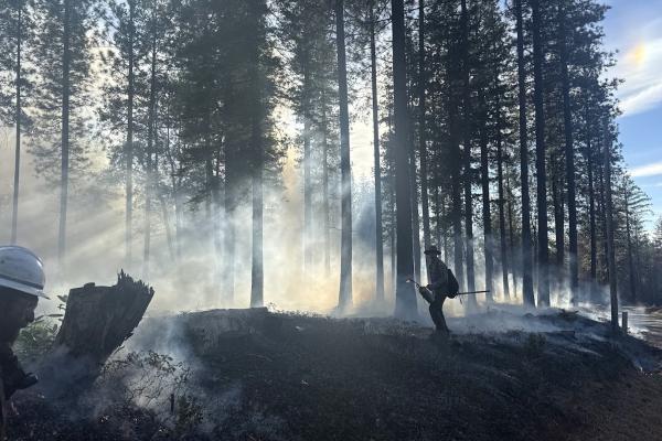 Prescribed Fire In The Sierra Nevada